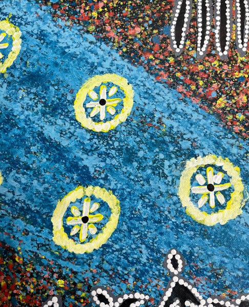 #204 Seven Sisters Dreaming (Multi) - REGGIE SULTAN Desert Art:  68cm x 43cm