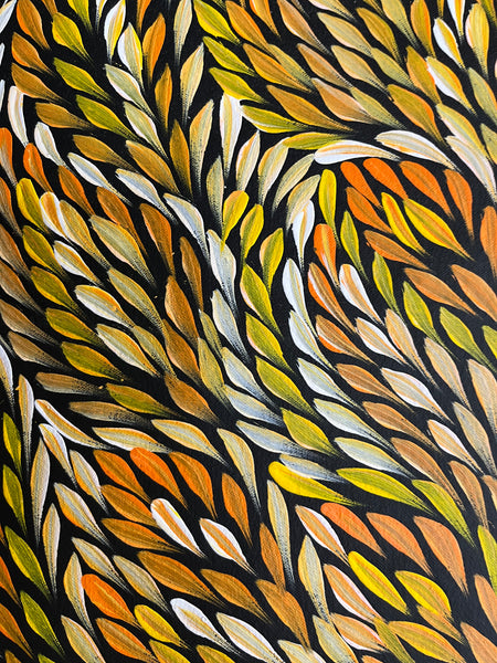 #240 Bush Medicine Leaves (Sunset) - CAROLINE NUMINA : Aboriginal Art: 72 x 95cm