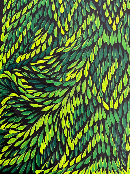 #61 Bush Medicine Leaves (Green) - CAROLINE NUMINA : Aboriginal Art: 51 x 98cm