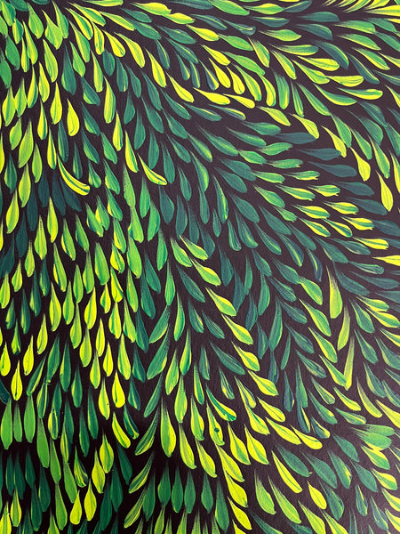 #61 Bush Medicine Leaves (Green) - CAROLINE NUMINA : Aboriginal Art: 51 x 98cm