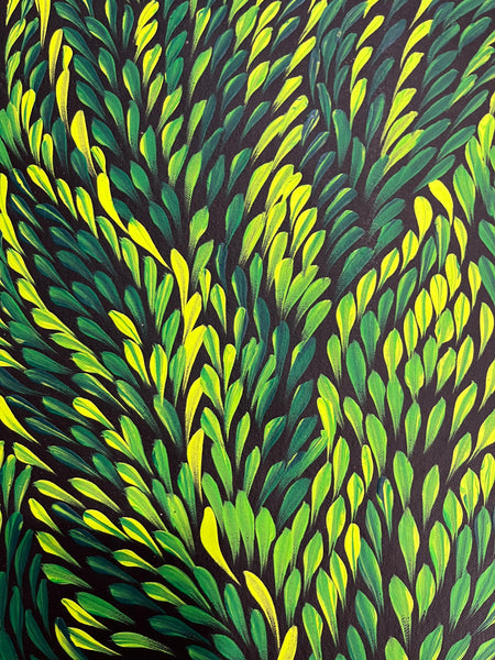 #61 Bush Medicine Leaves (Green) - CAROLINE NUMINA : Aboriginal Art: 51 x 98cm