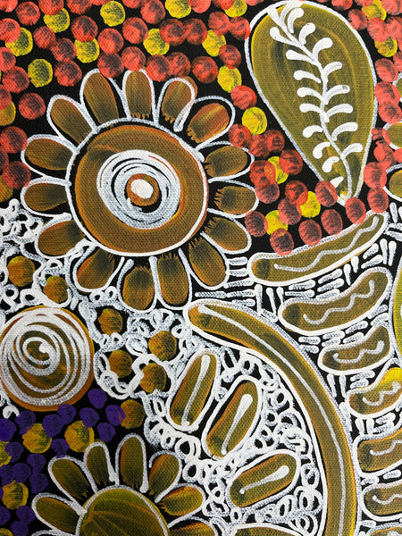 #323 Woman's Ceremony - JESSIE BIRD NGALE  : Aboriginal Art: 39cm x 53cm