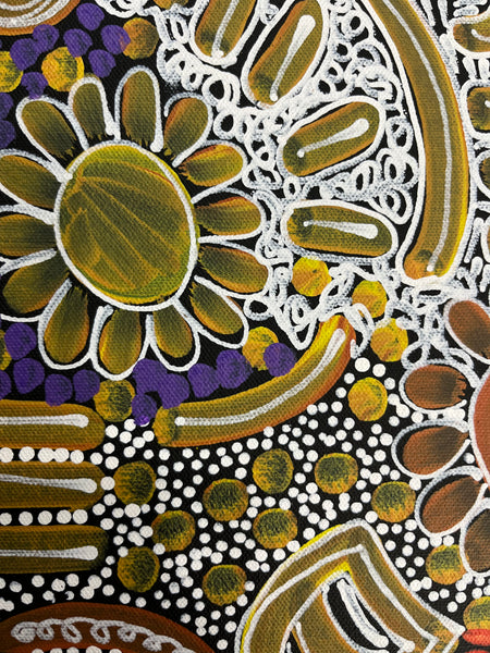 #323 Woman's Ceremony - JESSIE BIRD NGALE  : Aboriginal Art: 39cm x 53cm