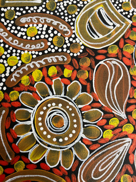 #323 Woman's Ceremony - JESSIE BIRD NGALE  : Aboriginal Art: 39cm x 53cm