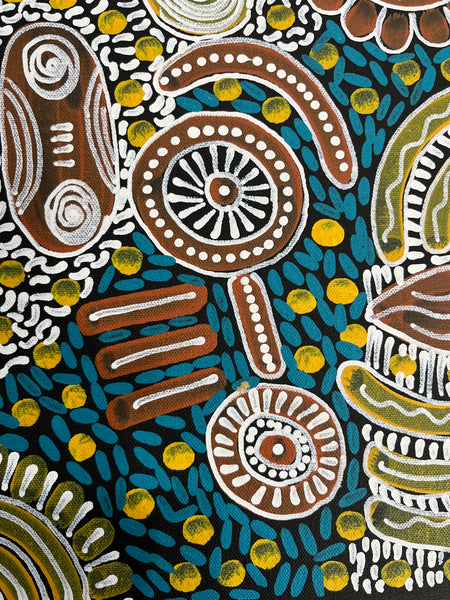 #213 Woman's Ceremony - JESSIE BIRD NGALE  : Aboriginal Art: 39cm x 53cm