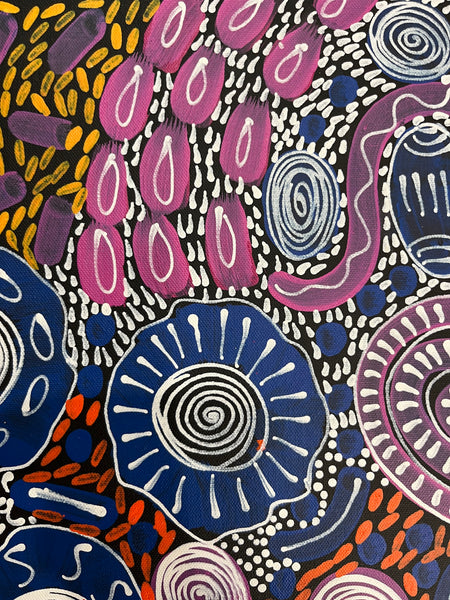 #269 Woman's Ceremony - JESSIE BIRD NGALE  : Aboriginal Art: 39cm x 53cm