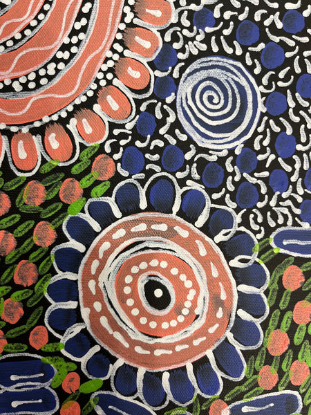 #398 Woman's Ceremony - JESSIE BIRD NGALE  : Aboriginal Art: 36cm x 50cm