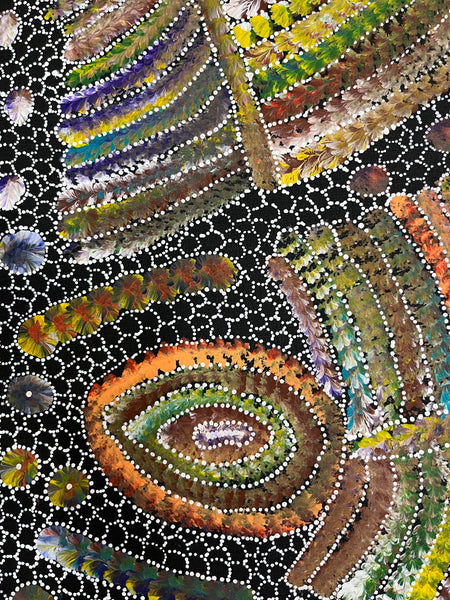 #120 Bush Seed Dreaming Artist: JEDDA PURVIS KNGWARREYE:  200cm x 73cm