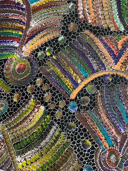 #120 Bush Seed Dreaming Artist: JEDDA PURVIS KNGWARREYE:  200cm x 73cm