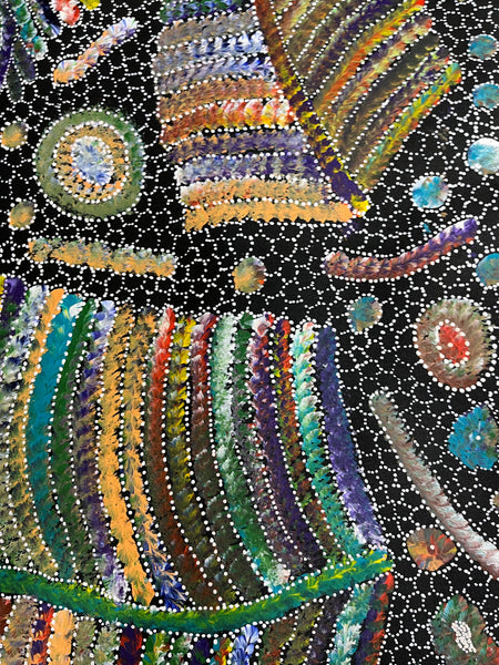 #120 Bush Seed Dreaming Artist: JEDDA PURVIS KNGWARREYE:  200cm x 73cm