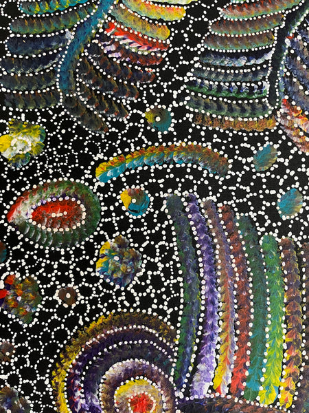#120 Bush Seed Dreaming Artist: JEDDA PURVIS KNGWARREYE:  200cm x 73cm