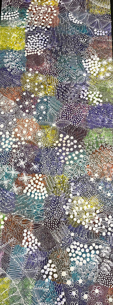#319 Women's Ceremony (Multi) Artist: TANYA BIRD MPETYANE Aboriginal Art: 72cm x 200cm