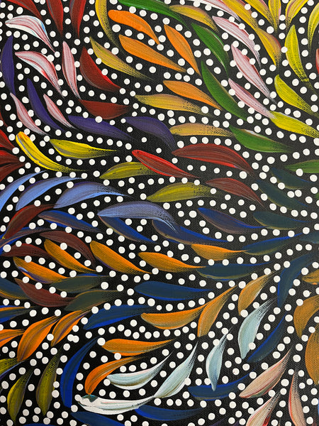 #382 Bush Medicine Leaves & Seeds (Multi) - CAROLINE NUMINA Aboriginal Art:  51cm x 36cm