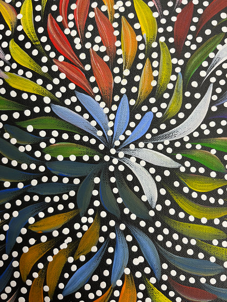 #382 Bush Medicine Leaves & Seeds (Multi) - CAROLINE NUMINA Aboriginal Art:  51cm x 36cm