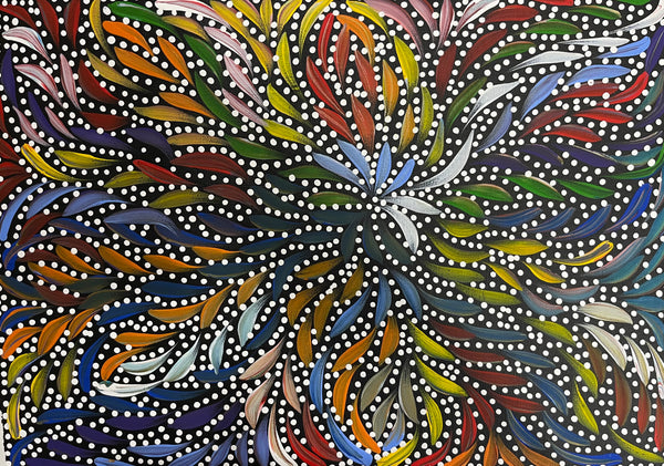 #382 Bush Medicine Leaves & Seeds (Multi) - CAROLINE NUMINA Aboriginal Art:  51cm x 36cm
