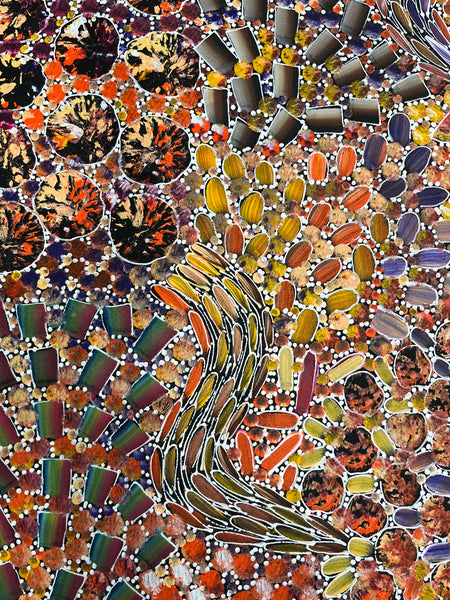 #37 Bush Yam Dreaming (Multi)- RACHAEL NAMBULA: Aboriginal Art: 150cm x 95cm