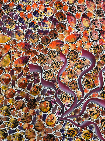#37 Bush Yam Dreaming (Multi)- RACHAEL NAMBULA: Aboriginal Art: 150cm x 95cm
