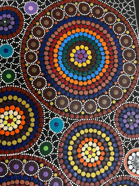 #6 - Bush Medicine Dreaming (Multi) -ARTIST:  MARYANNE GIBSON 59cm x 96cm