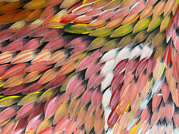 #13 Bush Medicine Leaves (Multi) - CAROLINE NUMINA Aboriginal Art:  70cm x 91cm