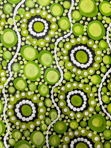 #133 Sacred Water (Lime) - TREPHINA SULTAN THANGUWA :  71cm x 97cm