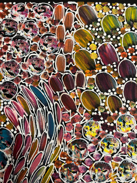#139 Bush Yam Dreaming (Multi)- RACHAEL NAMBULA Aboriginal Art:  43cm x 72cm