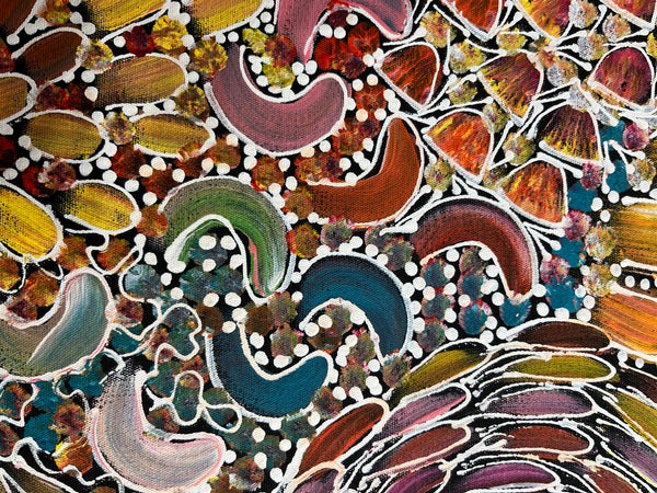 #139 Bush Yam Dreaming (Multi)- RACHAEL NAMBULA Aboriginal Art:  43cm x 72cm