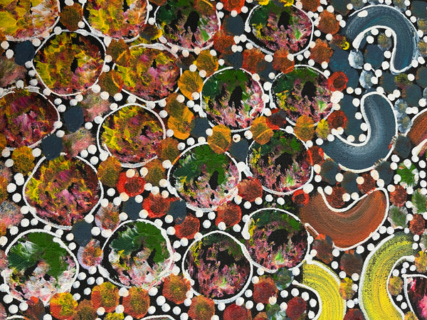 #162 Bush Yam Dreaming (Multi)- RACHAEL NAMBULA Aboriginal Art:  47cm x 72cm