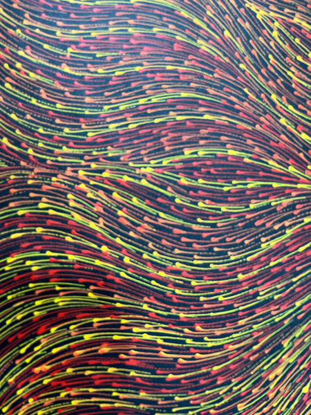 #383 Bush Medicine Seeds (Red) - SHARON NUMINA : Aboriginal Art: 86 x 147cm