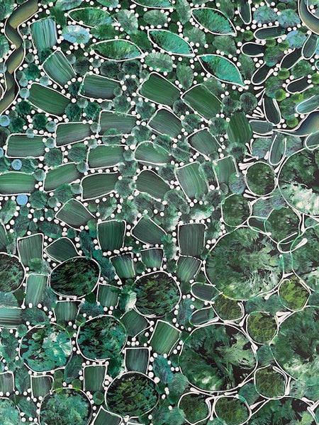 #172 Bush Yam Dreaming (Greens)- RACHAEL NAMBULA: Aboriginal Art 88cm x 150cm