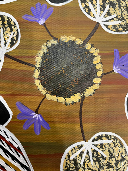 #279 Turtle Dreaming - CHRISTINE BURARRWANGA : 40 x 40cm