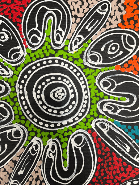 #217 ALIARA BIRD After Rain Seeds (Multi) : Aboriginal Art: 34x49cm