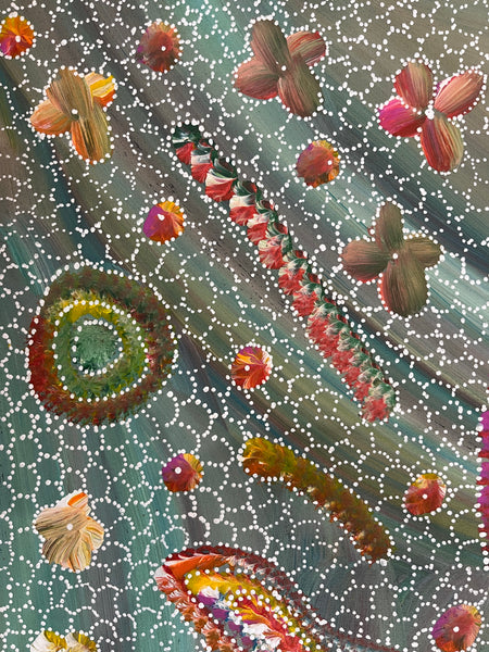 #292 Yam Seed Dreaming Artist: JEDDA PURVIS KNGWARREYE:  94cm x 72cm