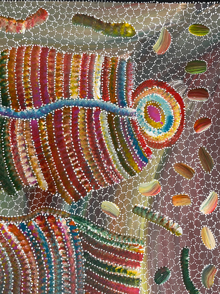 #292 Yam Seed Dreaming Artist: JEDDA PURVIS KNGWARREYE:  94cm x 72cm