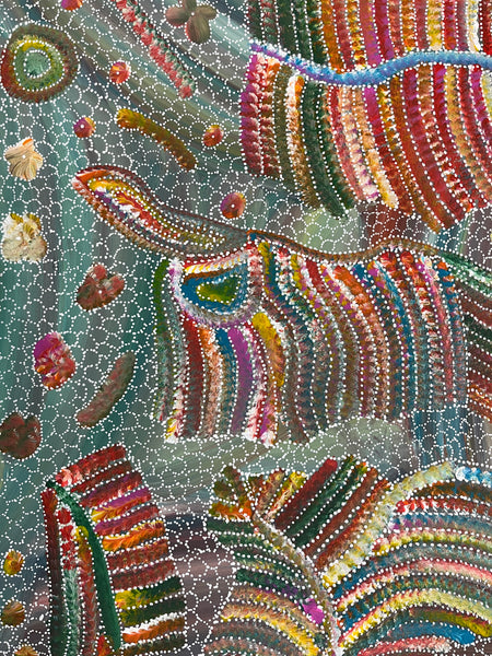 #292 Yam Seed Dreaming Artist: JEDDA PURVIS KNGWARREYE:  94cm x 72cm