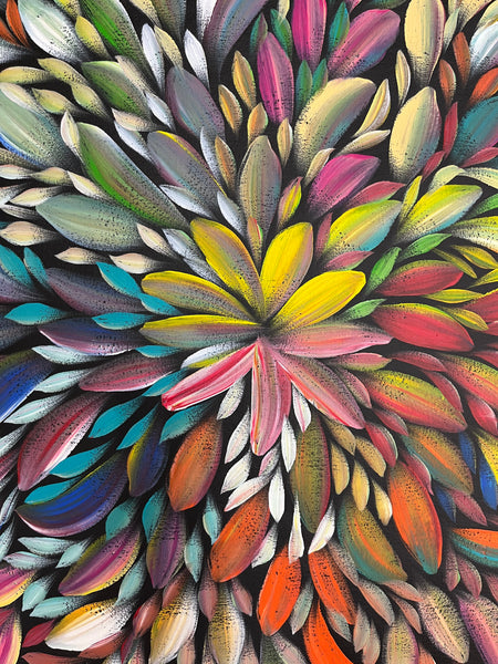#240 Bush Medicine Leaves (Multi)- LOUISE NUMINA Aboriginal Art:  60cm x 133cm