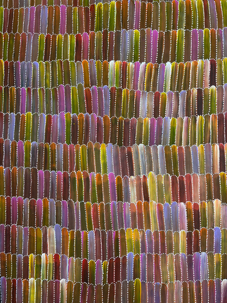 #284 Seeded Bush Yams (Multi) ARTIST: DULCIE LONG PWERLE 107CM X 76CM