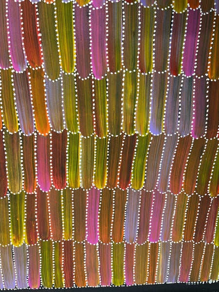 #284 Seeded Bush Yams (Multi) ARTIST: DULCIE LONG PWERLE 107CM X 76CM