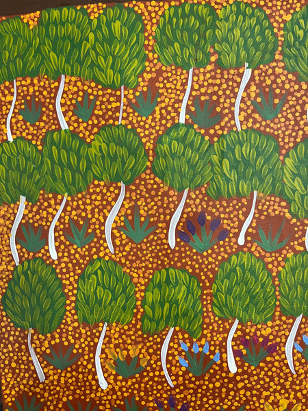 #19 My Grandmothers Country - ARTIST: HELEN RUBUNTJA 93cn x 70cm