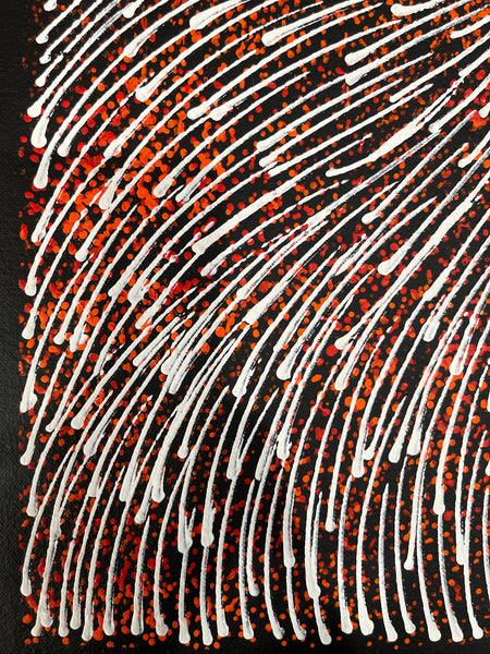 #200 Bush Medicine Seeds (Red/Whites) - SHARON NUMINA : Aboriginal Art: 43x55cm