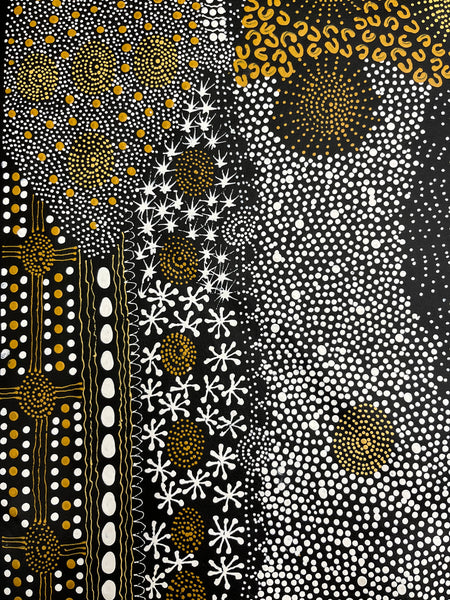 #21 Water Dreaming Ngapa (Earth) JANET LONG NAKAMARRA Aboriginal Art:  66cm x 205cm