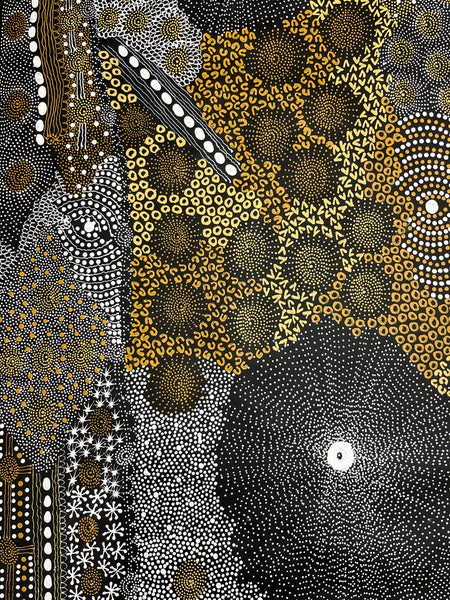 #21 Water Dreaming Ngapa (Earth) JANET LONG NAKAMARRA Aboriginal Art:  66cm x 205cm