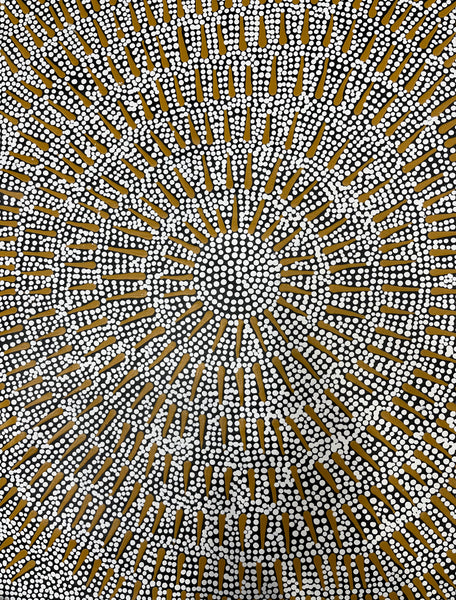 #171 Butterfly Dreaming ARTIST:  KATRINA NAPALJARRI SPENCER  62CM X 83CM
