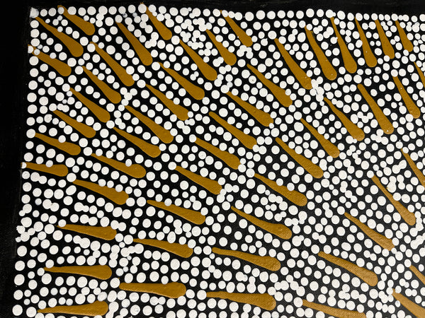 #171 Butterfly Dreaming ARTIST:  KATRINA NAPALJARRI SPENCER  62CM X 83CM