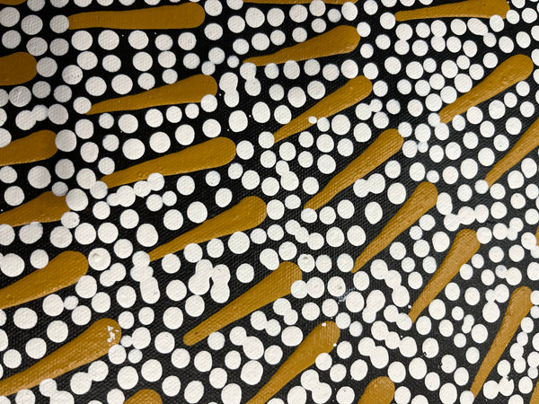 #171 Butterfly Dreaming ARTIST:  KATRINA NAPALJARRI SPENCER  62CM X 83CM