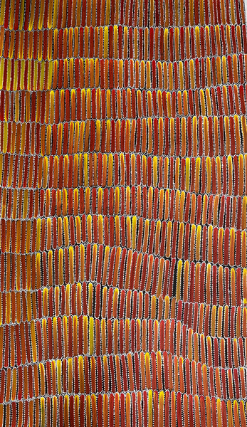 #252 Seeded Bush Yams (Sunset) - CAROLINE NUMINA :  Aboriginal Art: 91cm x 150cm