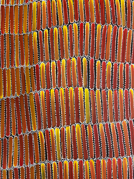 #252 Seeded Bush Yams (Sunset) - CAROLINE NUMINA :  Aboriginal Art: 91cm x 150cm