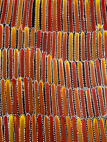 #252 Seeded Bush Yams (Sunset) - CAROLINE NUMINA :  Aboriginal Art: 91cm x 150cm