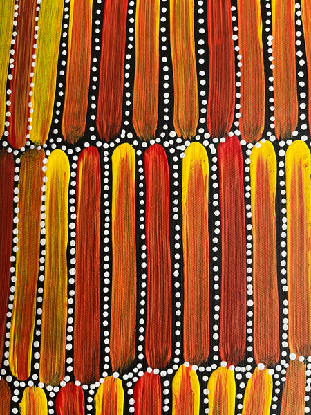 #252 Seeded Bush Yams (Sunset) - CAROLINE NUMINA :  Aboriginal Art: 91cm x 150cm