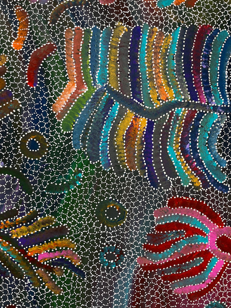 #353 Yam Seed Dreaming Artist: JEDDA PURVIS KNGWARREYE:  200cm x 91cm