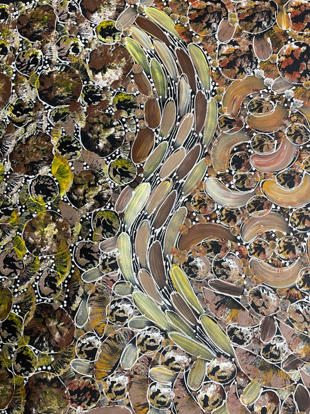 #138 Bush Yam Dreaming (Earth)- RACHAEL NAMBULA: Aboriginal Art 150x90cm